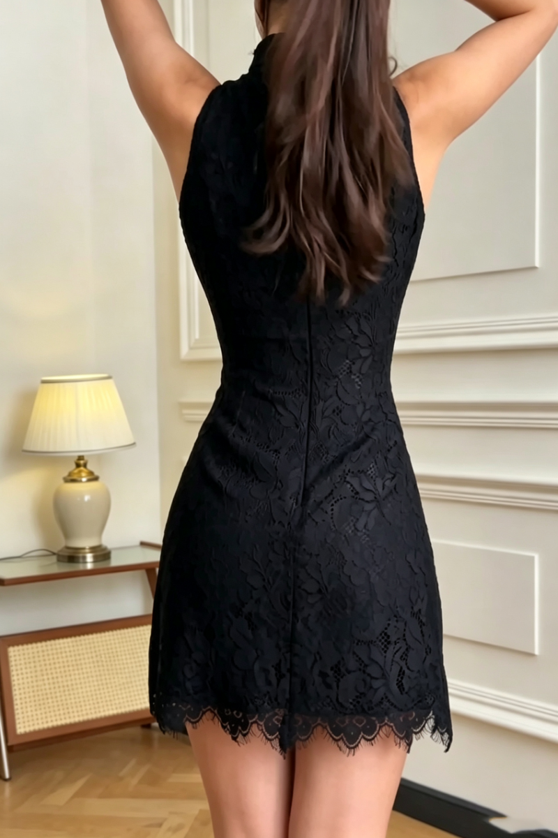 Women's Round Neck Sleeveless Patchwork Lace Pattern Elegant Temperament Dress