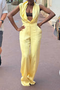 Women's Fashion Drape Neck Vest Wide Leg Pants Two Piece Set