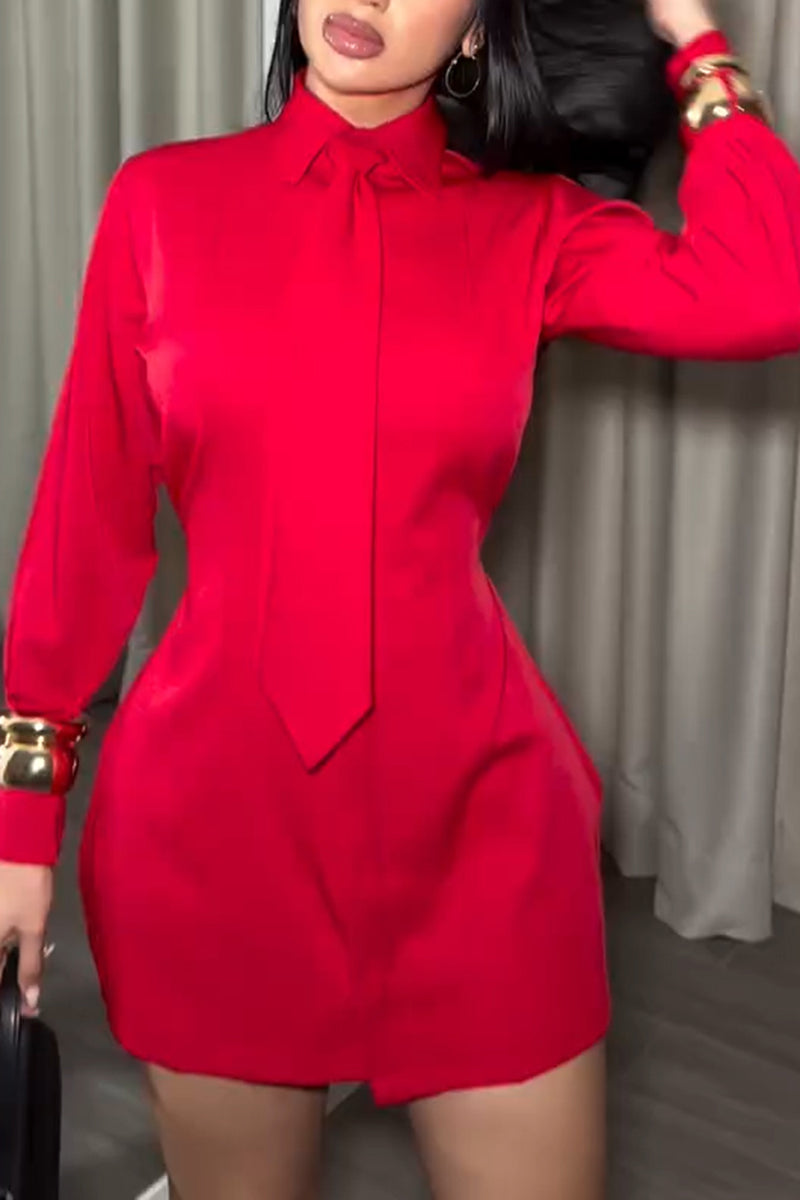 Women's Fashion Shirt Mini Dress with Tie