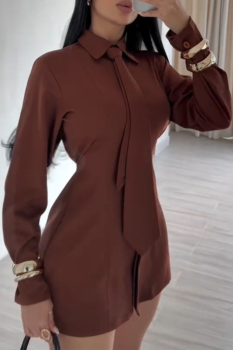 Women's Fashion Shirt Mini Dress with Tie