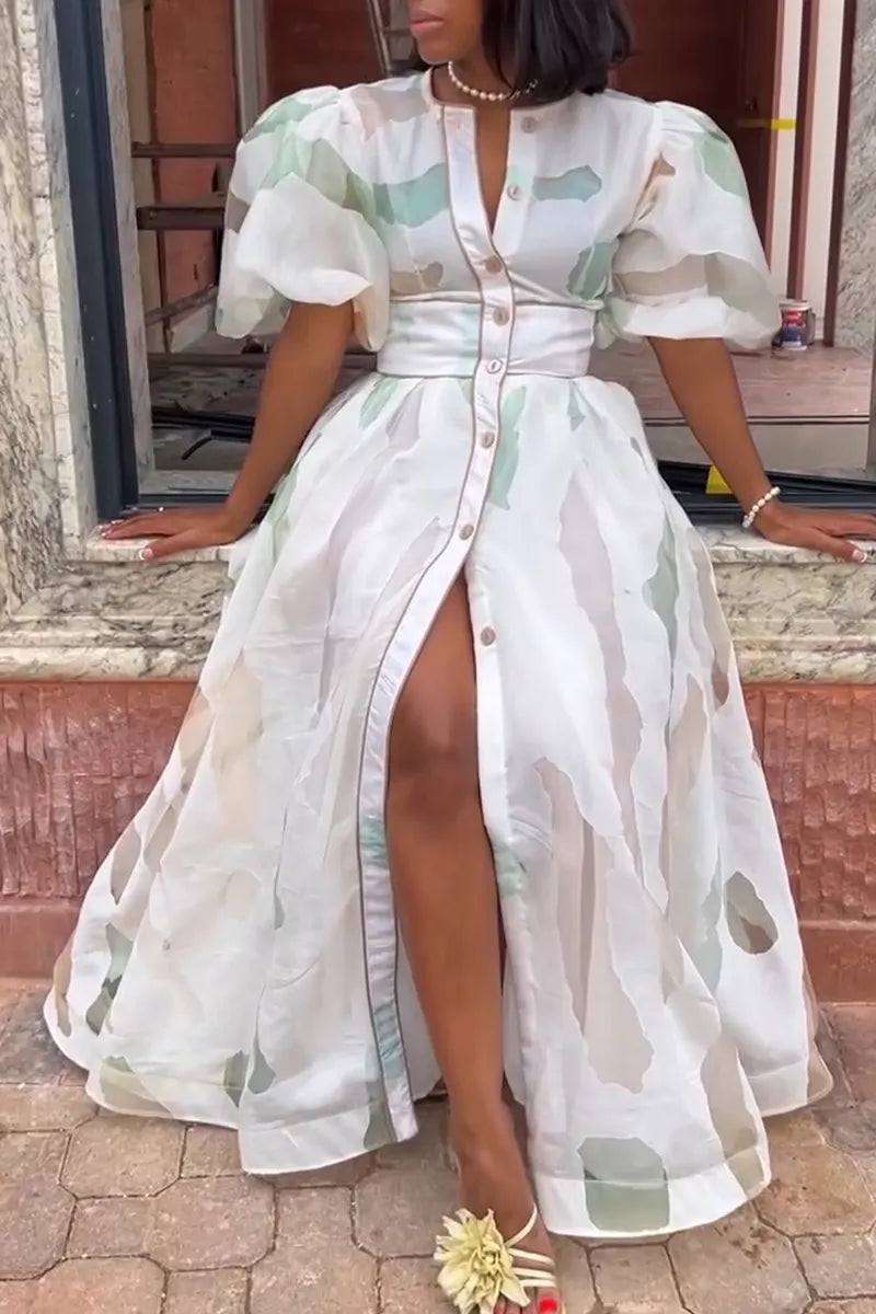 Women's Elegant Print Puff Sleeve Waist-Defined Dress