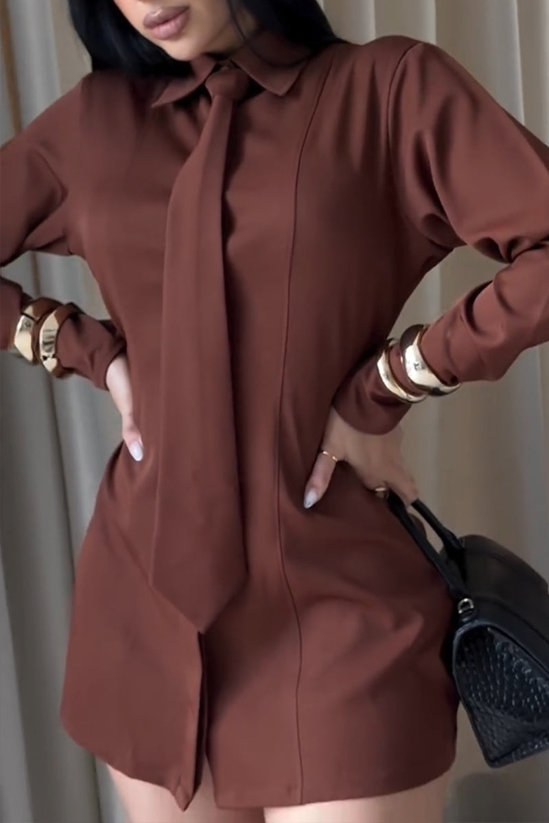 Women's Fashion Shirt Mini Dress with Tie