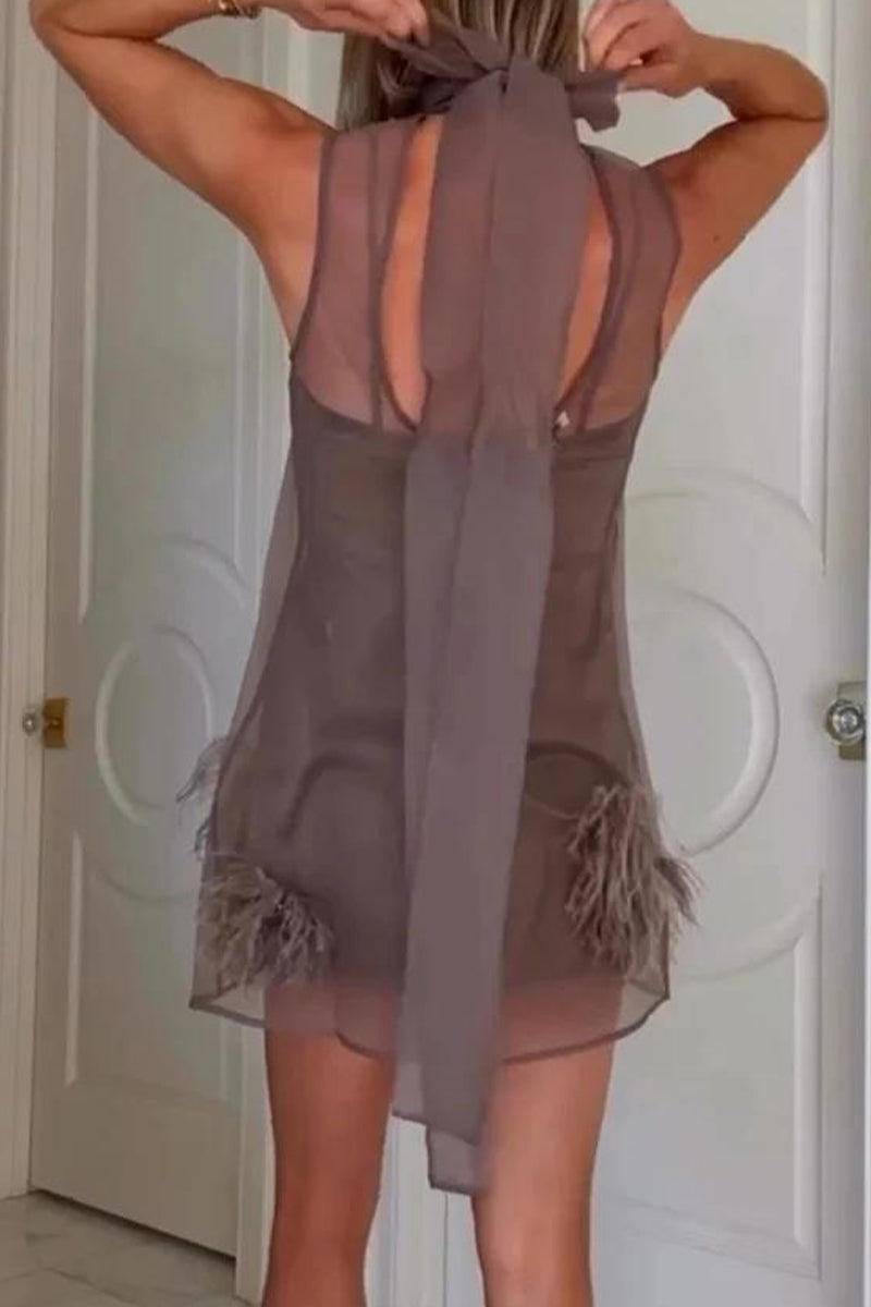 Women's Inner Strap Dress+Perspective Splicing Tassel Dress Elegant and Casual Two Piece Set